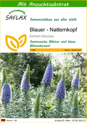Produktbild von SAFLAX - Blauer - Natternkopf - 100 Samen - Mit keimfreiem Anzuchtsubstrat - Echium fastuosa