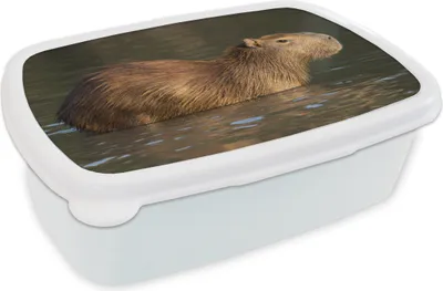 Obrázok produktu pre KitchenYeah® Lunchbox Obedový box 17x11 cm Kapybara stojí vo vode Detský obedový box - Obedový box - Deti - Sendvičový box - Školský box - Obedové boxy