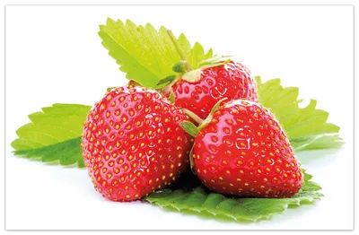 Produktbild von Wallario Premium Teppich, Größe 90 x 140 cm, Frische rote Erdbeeren für die Küche
