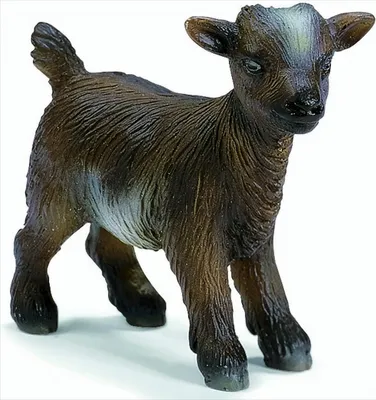 Produktbild von Schleich 13611 Zwergzicklein