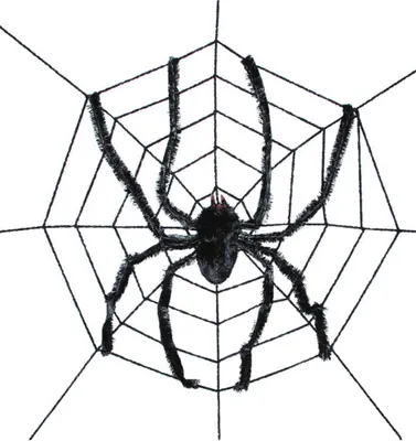 Produktbild von Horrorspinne im Netz als Halloween dekoration 240 cm