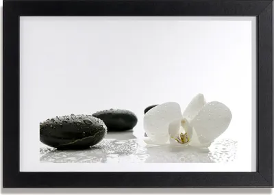 Produktbild von Bild 30x20 MDF-Rahmen, Wandkunst Orchidee