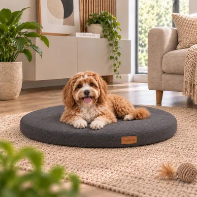 Produktbild von hundebett, hundekissen, hundematte, hundematratze, hundeliege, hundeschlafplatz, hundeplatz, hundekorb, hundebett rund, rundes hundebett, hundebett 80