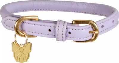 Immagine prodotto di Digby & Fox - Collare per cani, pelle arrotolata, fibbia ER2101 (M - Collo: 47 cm-52 cm) (Lilla)