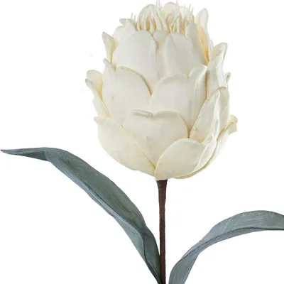 Immagine prodotto di Set DRW con 6 fiori artificiali in schiuma EVA e carta bianca, altezza 65 cm. Dimensioni: 65 cm