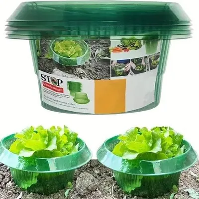 Produktbild von 30x Pflanzenschutzhauben Schneckenschutz – Ø18 cm grün – Gartenhauben gegen Schädlinge