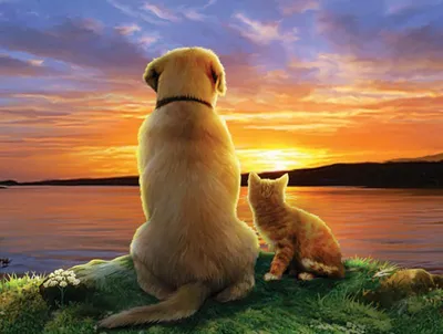 Immagine prodotto di Puzzle SunsOut - Tramonto XXL 300 pezzi
