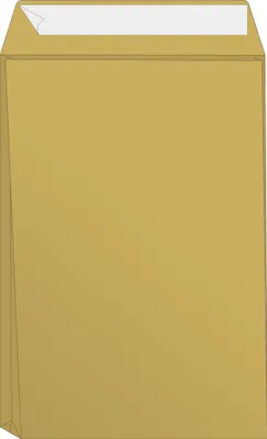 Immagine prodotto di BRUNNEN 105345750 Busta 250 x 353 x 40 mm B4 marrone