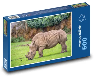 Zdjęcie produktu dla Puzzle 500 Nosorożec na wolności - martinpuzzle