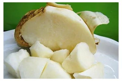 Produktbild von Yambohne Pachyrhizus erosus Jicama Benkuang 10 Samen