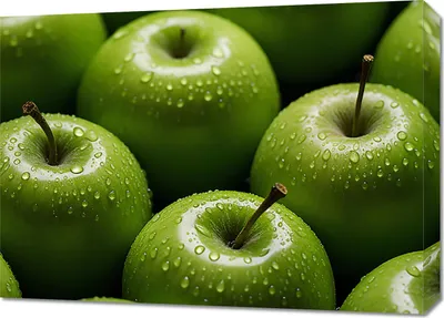 Produktbild von Bild 70x50cm Erfrischende Frische