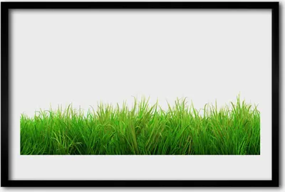 Produktbild von Bild 60x40 MDF-Rahmen Wandkunst Gras Natur Pflanze