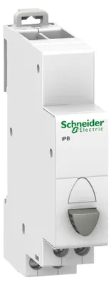 Immagine prodotto di Pulsante grigio 1NC+1NO - Pulsante per scheda di distribuzione A9E18033