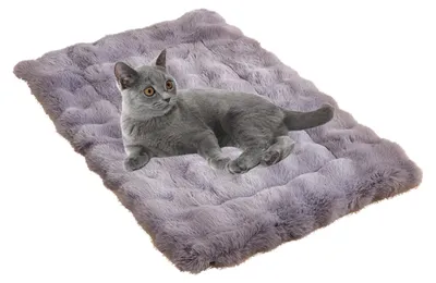 Image de Couverture chauffante pour animaux de compagnie (60x45 cm)