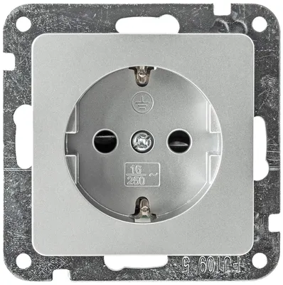 Produktbild von DELPHI Schutzkontakt-Steckdose silber 250V/ 16A Steckanschluss ohne Rahmen