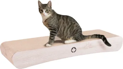 Produktbild von CanadianCat Jumbo Wave XXL, Katzenkratzbett, Freistehend, Weiß, Karton, Karton, 860 mm