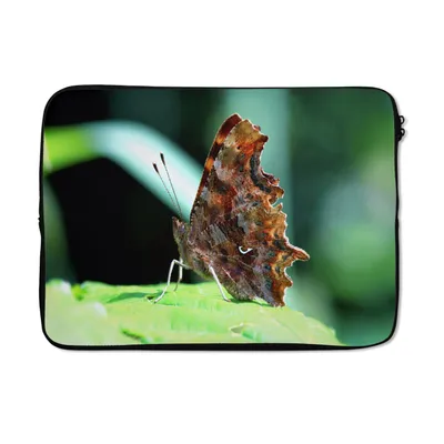 Produktbild von MuchoWow® Laptop Hülle 13 Zoll Schmetterlingshahnenfußgewächse Laptoptasche - Laptophülle - Sleeve - Rundumschutz