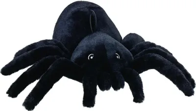 Image de Araignée 30 cm - Beppe