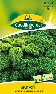 Produktbild von Quedlinburger Saatgut - Grünkohl Halbhoher grüner krauser - Samen - 426544