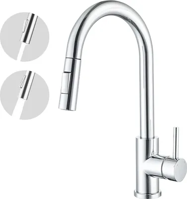 A chrome kitchen faucet with a pull-down sprayer and two inset circles showing different spray modes.