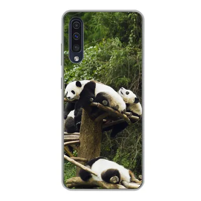 Produktbild von MuchoWow® Handyhülle Schutzhülle Hülle für Samsung Galaxy A50 Pandas - Holz - Treppe Silikon Softcase Handy Hülle - Mobiltelefonhülle