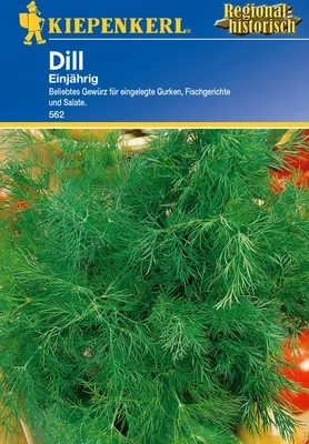 Produktbild von Kiepenkerl Dillsamen, einjährig