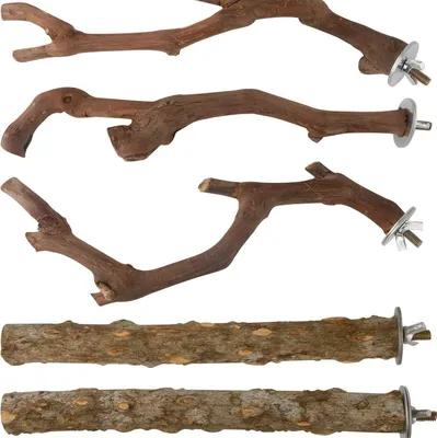 Produktbild von Heikoeco®5-teiliges Set natürlicher Holz-Vogelhabitaten für Tigerhautpapageien