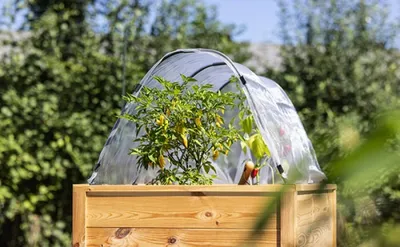 Immagine prodotto di Set completo di archi a tunnel Windhager per letti rialzati 07652