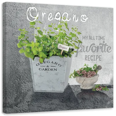 Produktbild von Leinwandbild Oregano für die Küche 50x50 Feeby Grün bild für die wand bereit zum aufhängen