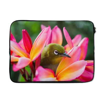 Produktbild von MuchoWow® Laptop Hülle 14 ZollTropischer Vogel zwischen Blumen Laptoptasche - Laptoptasche - Stoßsicher - Schutzhaube