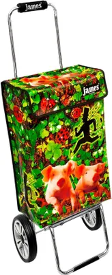 Obrázek produktu pro Nákupní vozík James - LUCKY - robustní nákupní vozík s individuálním designem - jednobarevný: zelený v provedení: Chrome19