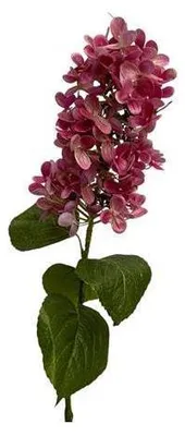 Immagine prodotto di Fiore artificiale ortensia a cono 75cm malva