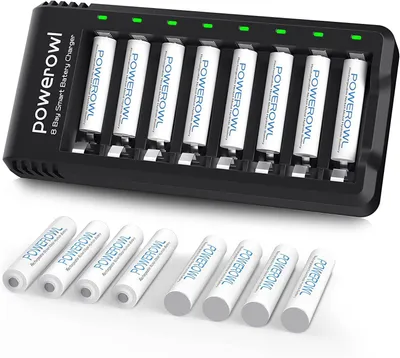 Productafbeelding van Oplaadbare AAA-batterijen 1000mAh 1,2V met oplader, 16-pack
