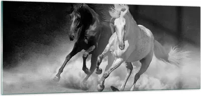 Produktbild von Bilder auf glas - Einteilig - Andalusier Pferde Galopp - 100x40cm - Glasbilder - Wandbilder - Bilder - zum Aufhängen bereit - Wanddekoration aus Glas - Glas Bilder - Wandbild auf Glas - GAB100x40-4240