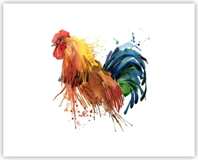 Produktbild von Poster - Poster ohne Rahmen - Hahn Ilustration Tier Farben - 50x40 cm - Wand Bild - Wanddeko - Wandbilder - Kunstposter - Wandposter - Bilder - Kunstdruck - Wanddekoration - Wandbild - P2XAA50x40-2842
