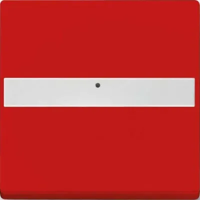 Immagine prodotto di Bilanciere Busch-Jaeger 1764 NLI-12-82-101 2CKA001731A4011
