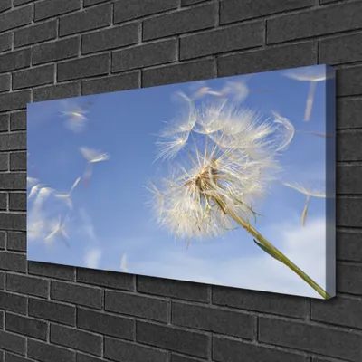 Produktbild von Tulup Leinwand-Bilder 100x50 Wandbild Canvas Kunstdruck Pusteblume Pflanzen
