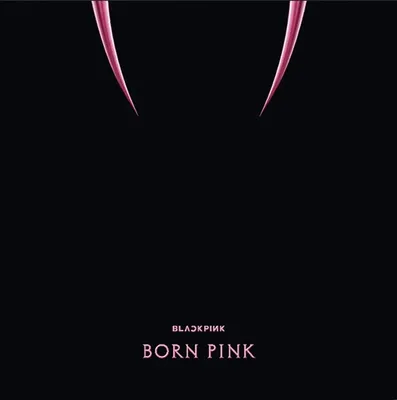 Immagine prodotto di Blackpink (Black Pink): Born Pink (Black Ice Vinyl)