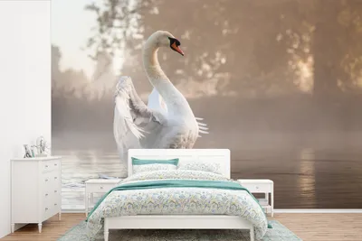 Produktbild von MuchoWow® Fototapete für Wohnzimmer oder Schlafzimmer Wandtapete Vinyl Motivtapete Schwan - Nebel - Wasser - 360x240 cm - Vinyl-Tapete