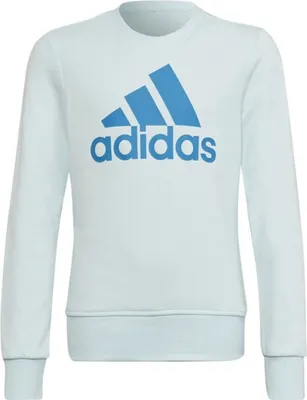 Produktbild von Adidas Sweatshirts Big Logo JR, HM8707, Größe: 105