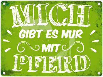 Produktbild von Metallschild mit Reiter Motiv und Spruch: Mich gibt es nur mit Pferd Schild