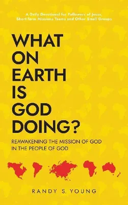 Produktbild von What On Earth Is God Doing?
