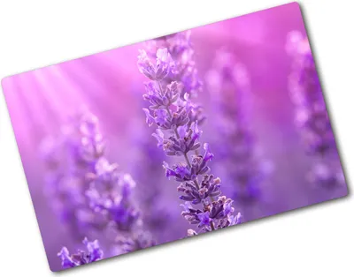 Produktbild von Tulup Glas Herdabdeckplatte - 80x52 cm - Glaskeramikkochfeld-Abdeckung Spritzschutz Glasabdeckplatte - Einteilig - Blumen & Pflanzen - Lavendel - Lila