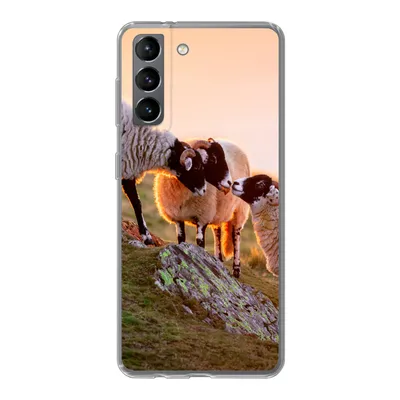 Produktbild von MuchoWow® Handyhülle Schutzhülle Hülle für Samsung Galaxy S21 Schafe - Tiere - Sonnenuntergang Silikon Softcase Handy Hülle - Softcase