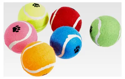 Produktbild von Tennisbälle für Apportierspiele, 6 Stück