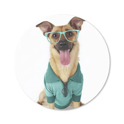 Produktbild von MuchoWow® Mauspad Mousepad Hund - Brille - Hemd - Hipster 20x20 cm - Mousepads - Maus Mat - Pad - Mausunterlage - Schreibtischmatte
