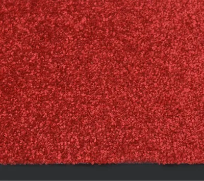 Obrázok produktu pre rohožka vidaXL Red 60x80 cm