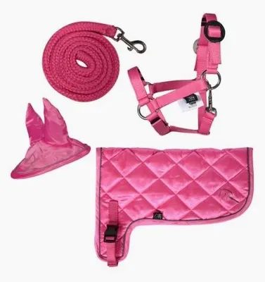 Produktbild von Neonset -Hobby Horsing- 3900 pink