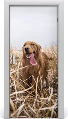 Produktbild von Tulup Türaufkleber 95x205 cm Dekorative Aufkleber Selbstklebend Wasserdichte Tapete Abnehmbar Schlafzimmer Wohnzimmer Wohnkultur - Labrador