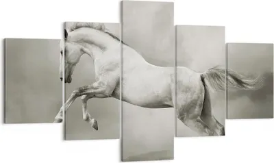 Produktbild von Bild auf Leinwand - Leinwandbild - Pferd Tier - 125x70cm - Wand Bild - Wanddeko - Wandbilder - Leinwanddruck - Bilder - Kunstdruck - Wanddekoration - Leinwand bilder - Wandkunst - EA125x70-3542